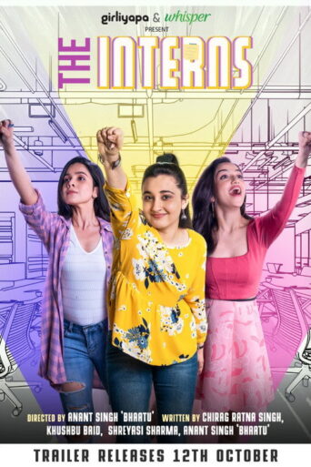 The Interns (2020) Hindi Season 1 Complete