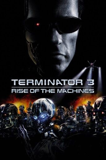 Terminator 3: Rise of the Machines (2003) Hindi Dubbed
