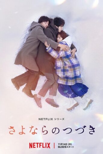 Beyond Goodbye (2024) Hindi Season 1 Complete
