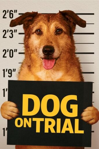Le Proces du chien (2024) HQ Hindi Dubbed