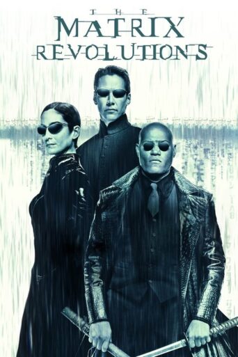 The Matrix Revolutions (2003) Hindi Dubbed