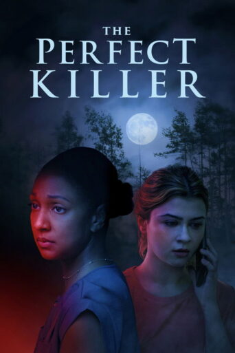 The Perfect Killer (2025) Unofficial Hindi Dubbed