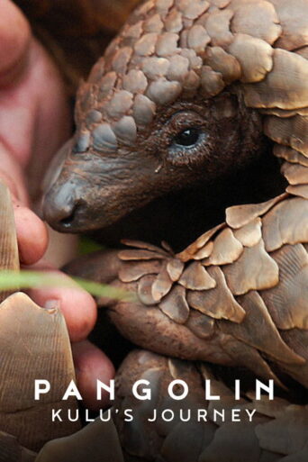 Pangolin: Kulus Journey (2025) Hindi Dubbed Netflix