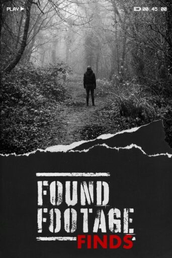 Found (2025) Hindi Season 2 Complete