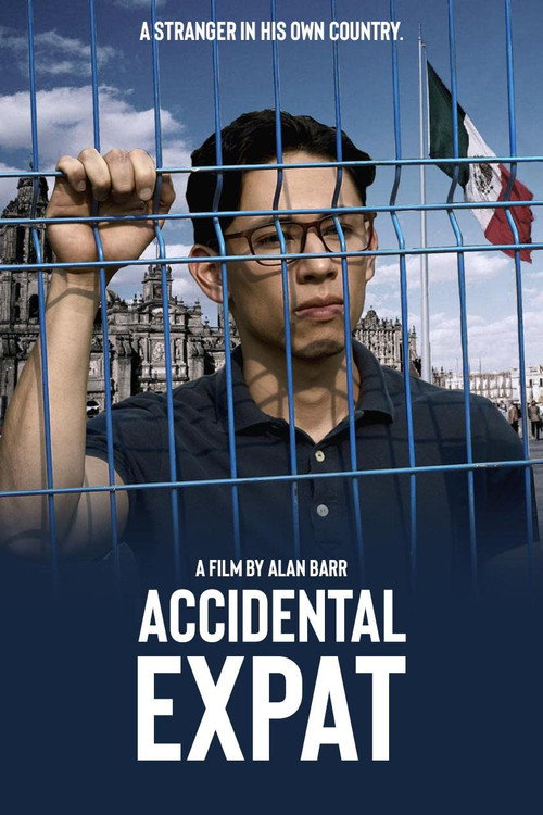 Accidental Expat (2025) Unofficial Hindi Dubbed