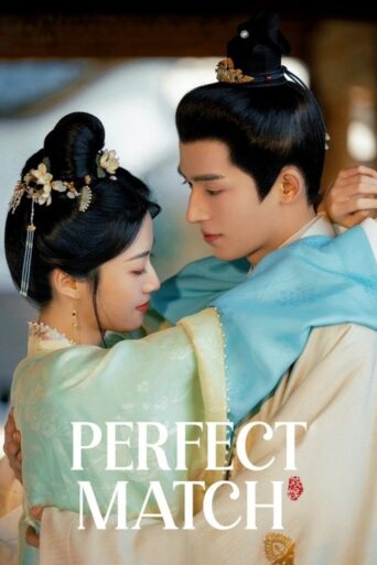 Perfect Match (2025) Hindi Season 3 Complete Netflix