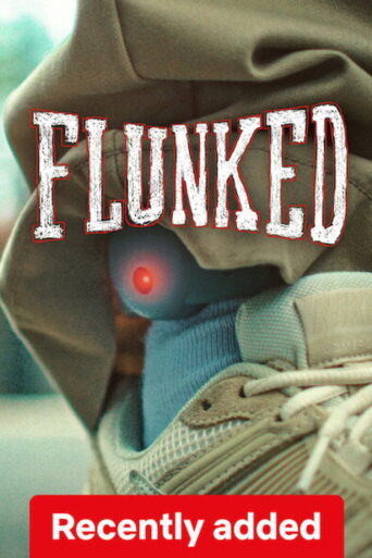 Flunked (2026) Hindi Season 1 Complete Netflix