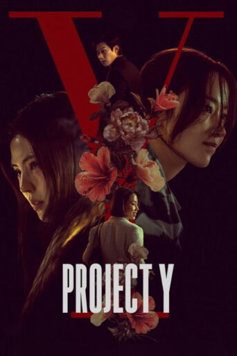 Project Y (2026) Hindi Dubbed AMZN